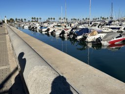 217-11-01-2026 IMG_3413